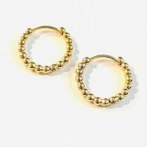 Huggie Hinged hoop earrings
